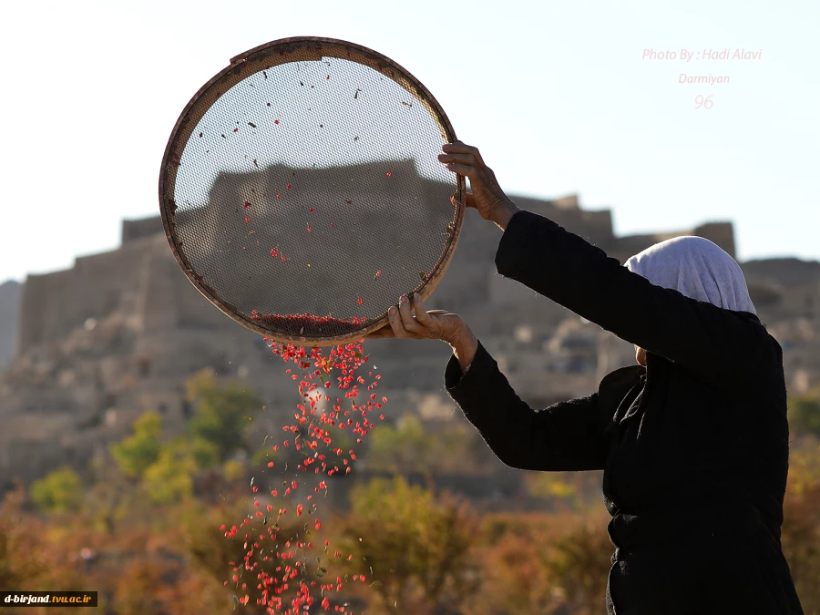 اردوی علمی عکاسی تخصصی