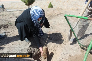 حضور همکاران آموزشکده فنی و حرفه‌ای دختران بیرجند در جشن درختکاری یکشنبه ۱۴۰۰/۱۲/۱۵